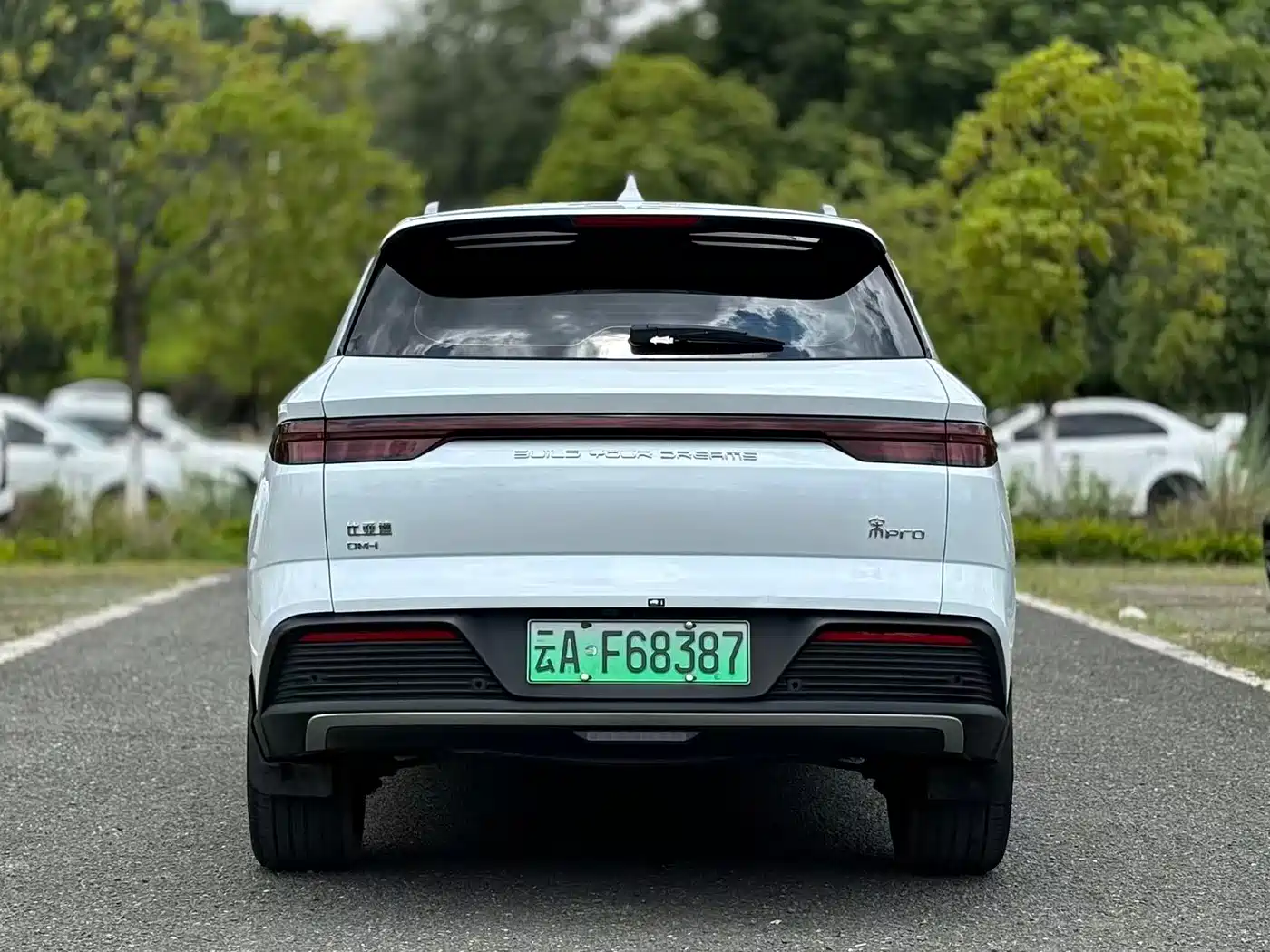 BYD Song Pro New Energy 2023 Champion Edition DM-i 110KM Excellence фото 6