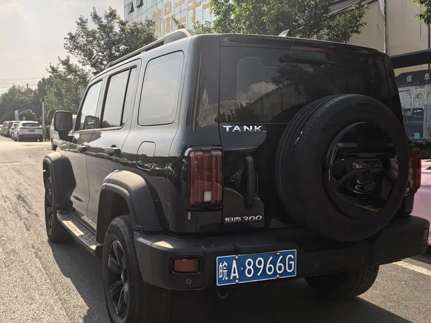 Tank 300 2023 Off-Road Edition 2.0T Conqueror фото 8
