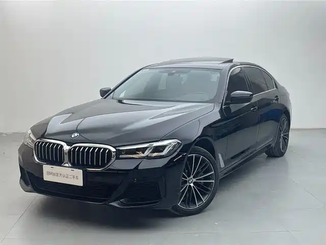 BMW 5 530Li, Лидер, M Спорт-пакет