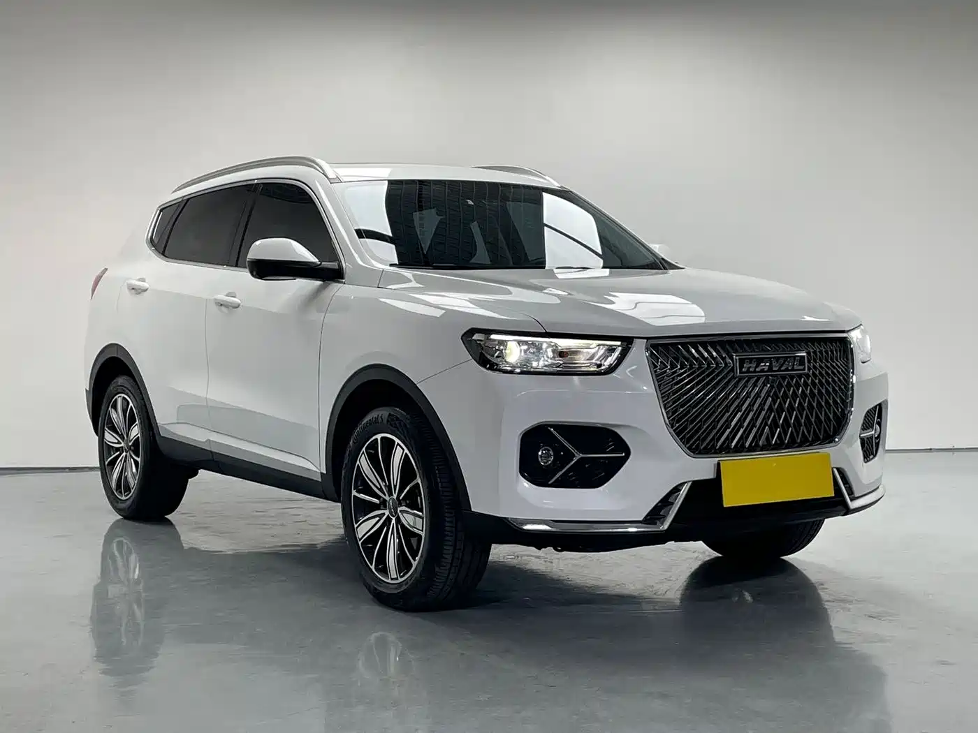 Haval H6 2021 1.5GDIT Automatic Champion Edition фото 3