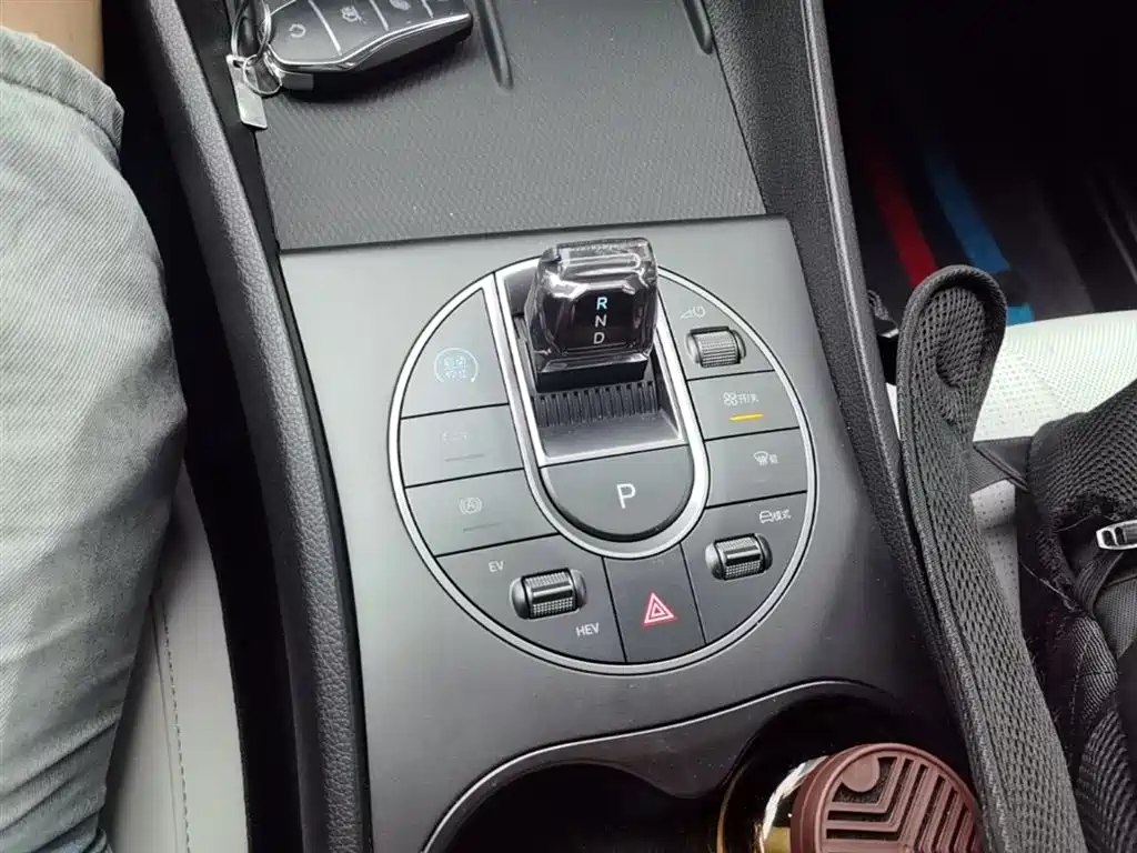 BYD Hai Bao 05 DM-i 2025 DM-i Smart Drive Edition 55KM Luxury фото 14