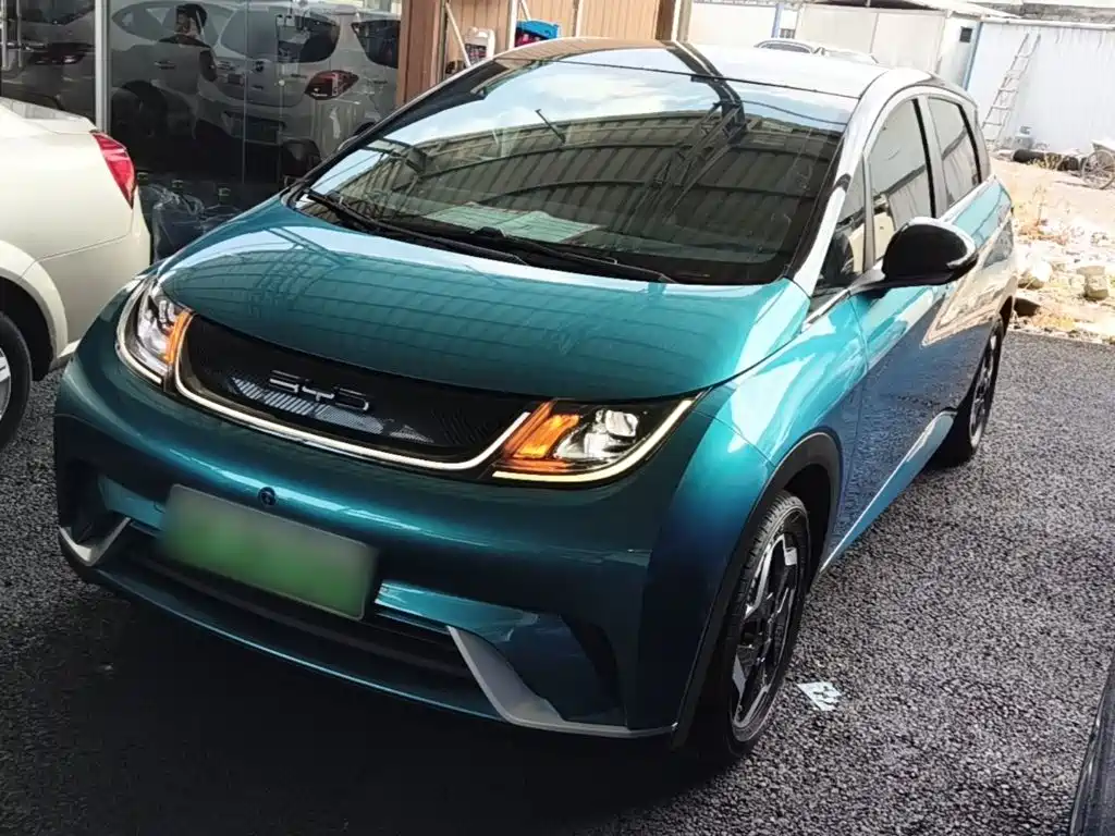 Фото 1 - BYD Dolphin