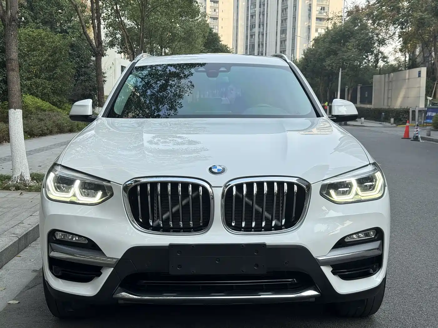 BMW X3 2018 xDrive25i Luxury Package China V фото 2