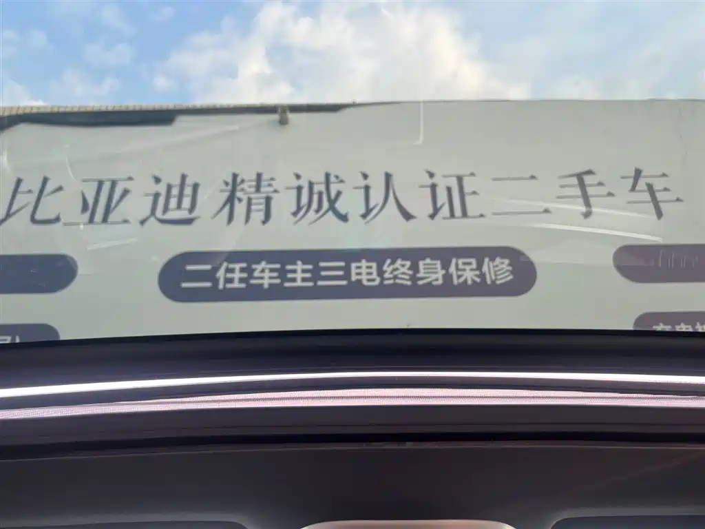 BYD Tang New Energy 2025 Smart Driving Edition DM-i 115KM Flagship фото 19