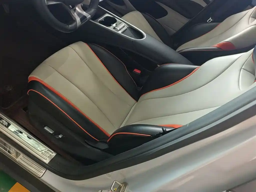 BYD Dolphin 2021 Model 405km Fashion Edition фото 15