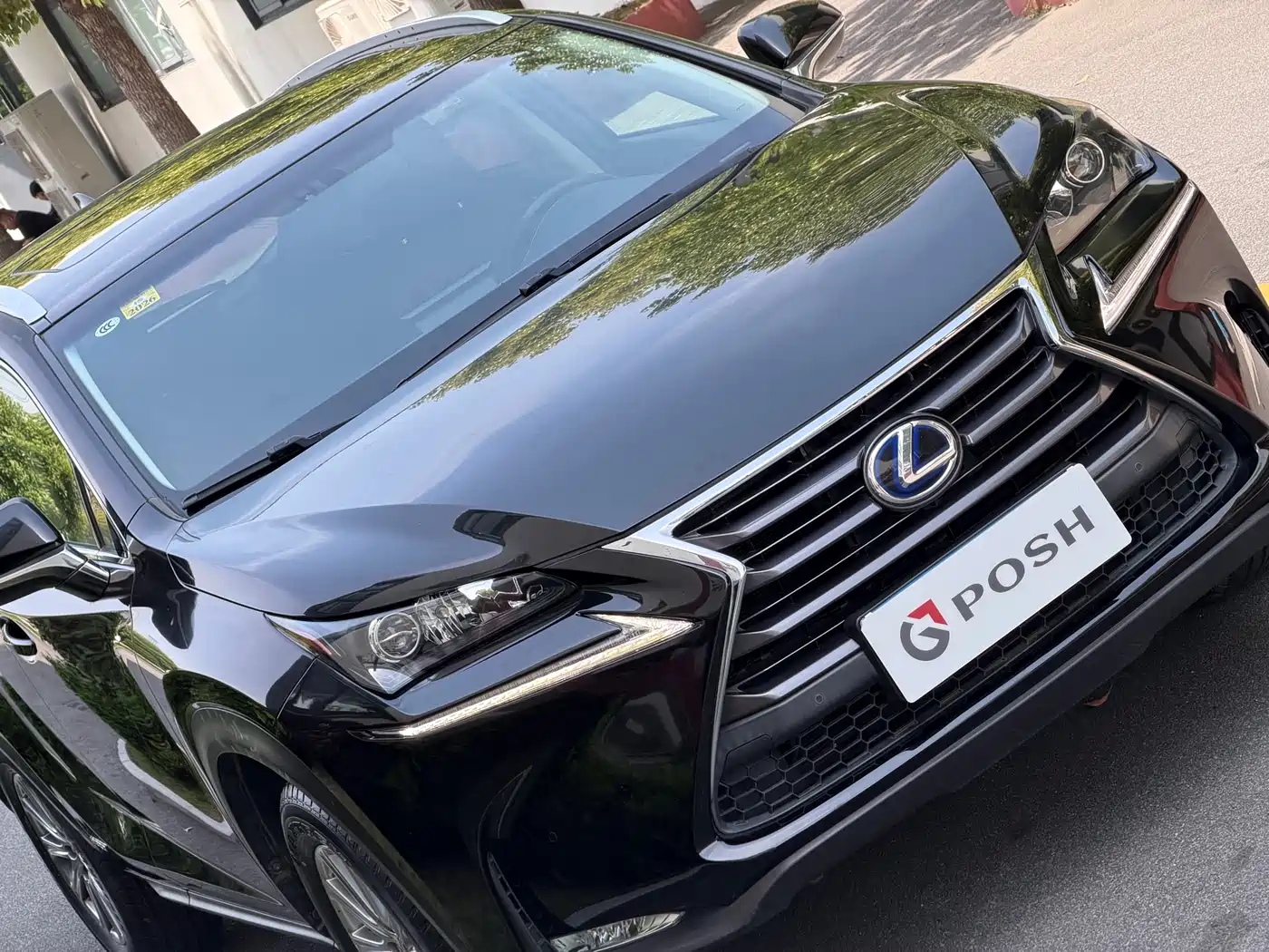 Lexus NX 2015 300h FWD Luxury фото 3