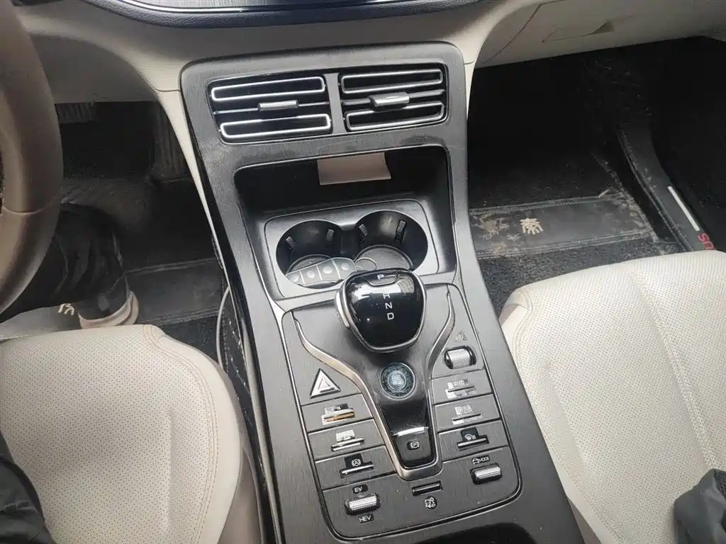 BYD Qin PLUS 2024 Glory Edition DM-i 55KM Leading фото 7