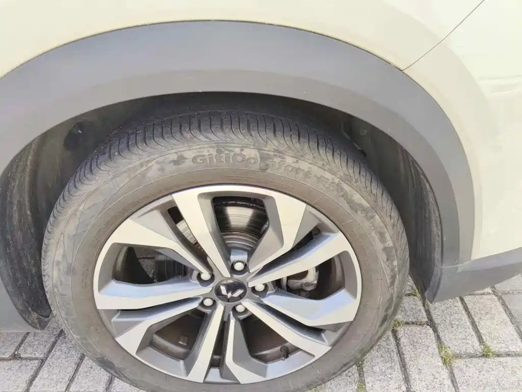 Wuling Motors Wuling Xingchen 2023 2021 1.5T CVT Starlight Edition