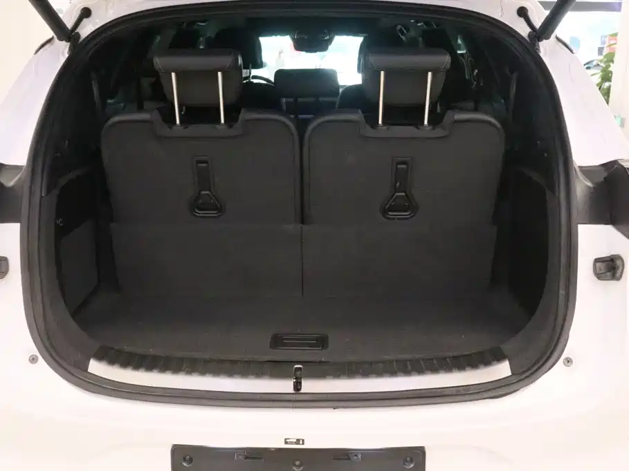 Denza X 2021 2020 Model PHEV Flagship Edition