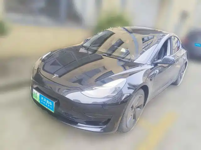 Tesla Model 3 2021 Standard Range Rear-Wheel Drive Upgrade — фото 1