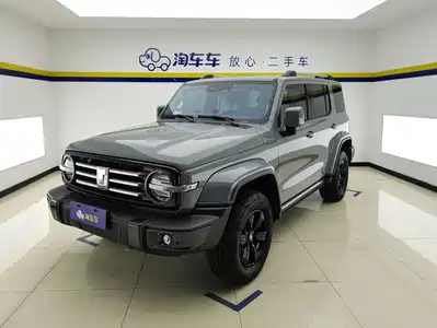 Tank 300