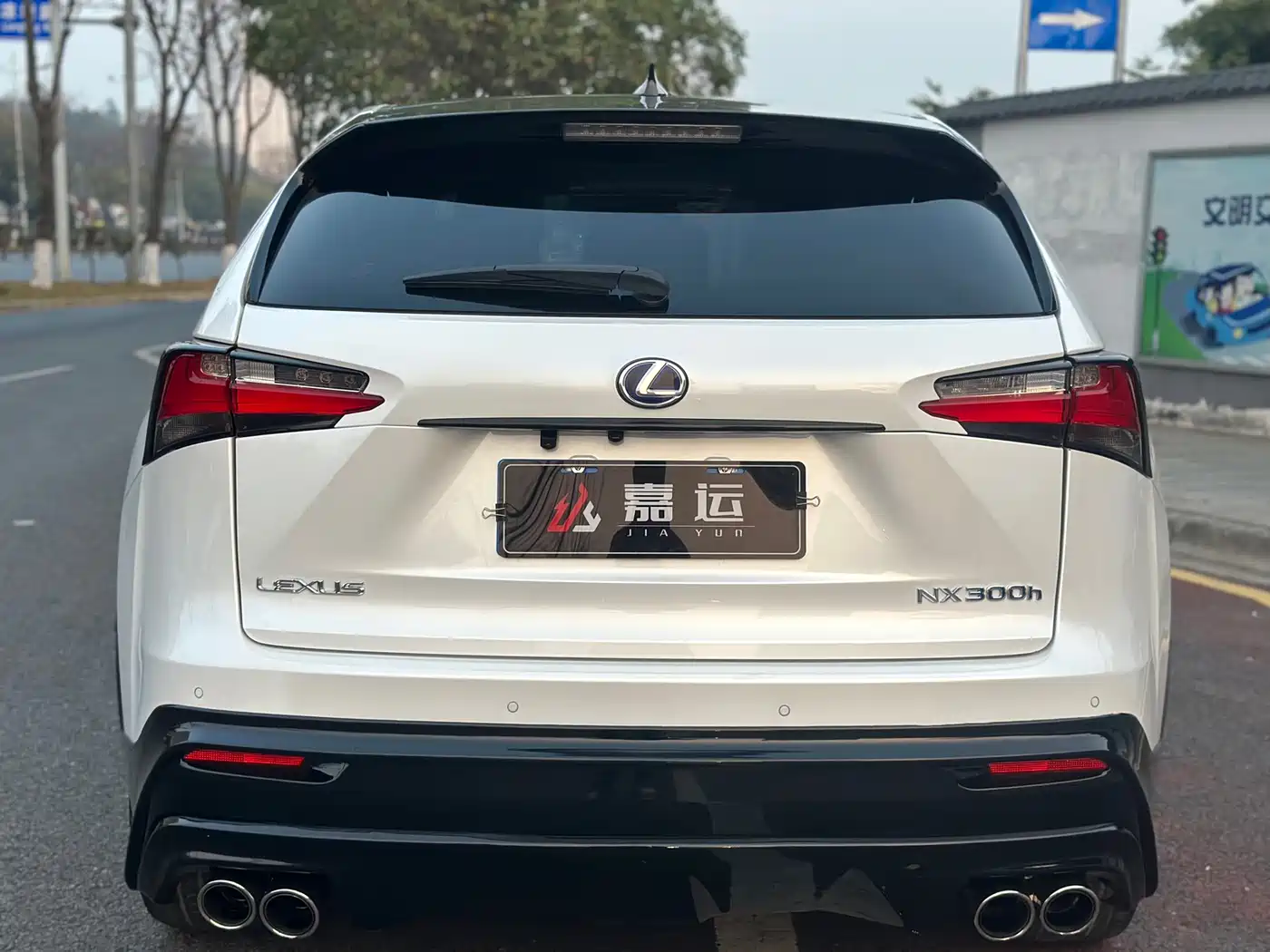 LEXUS NX