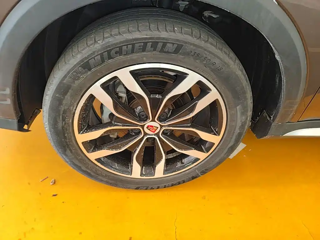 Фото 23 - Roewe RX5