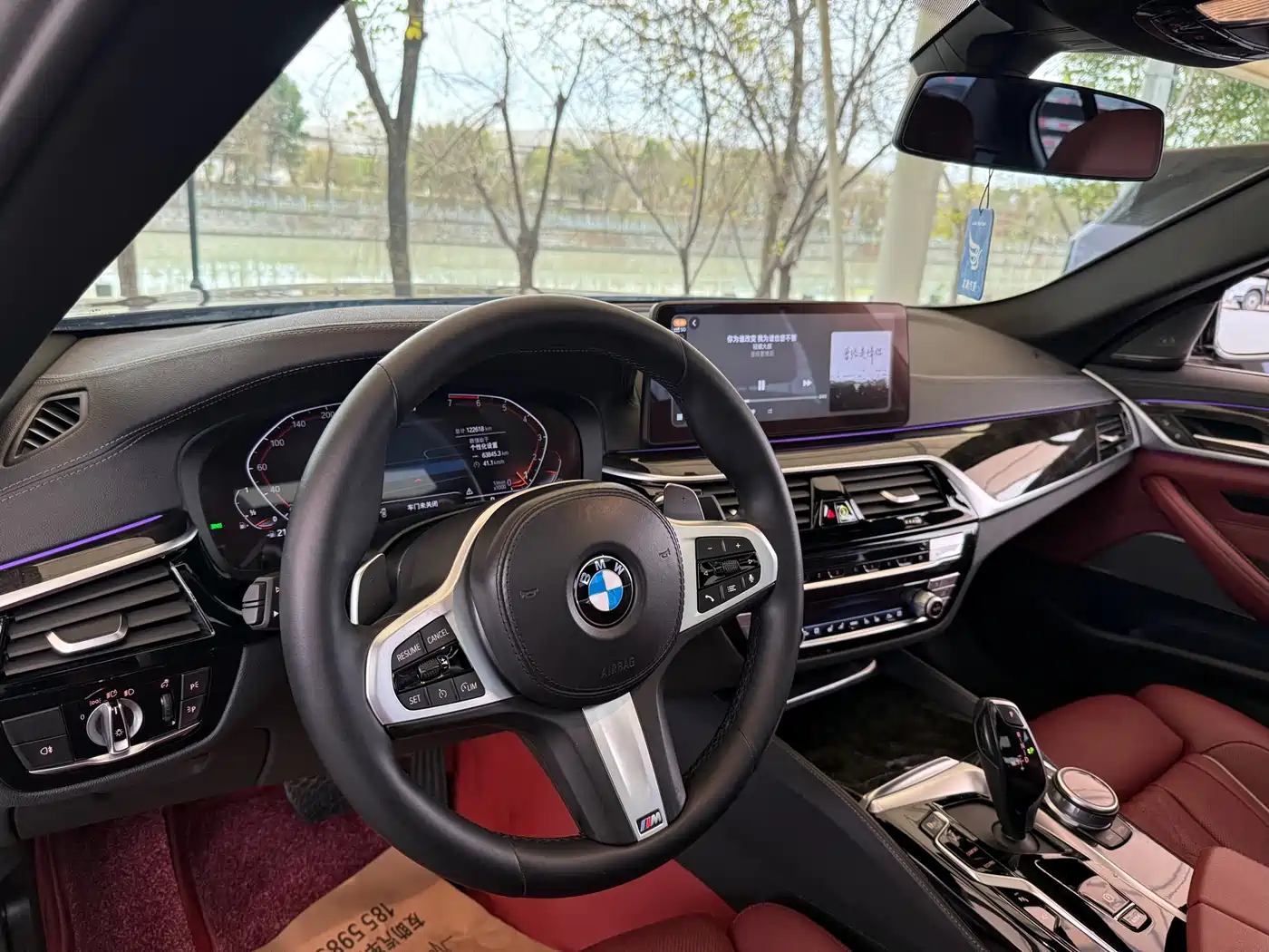 BMW 5 Series 2021 530Li Premium M Sport Package фото 16