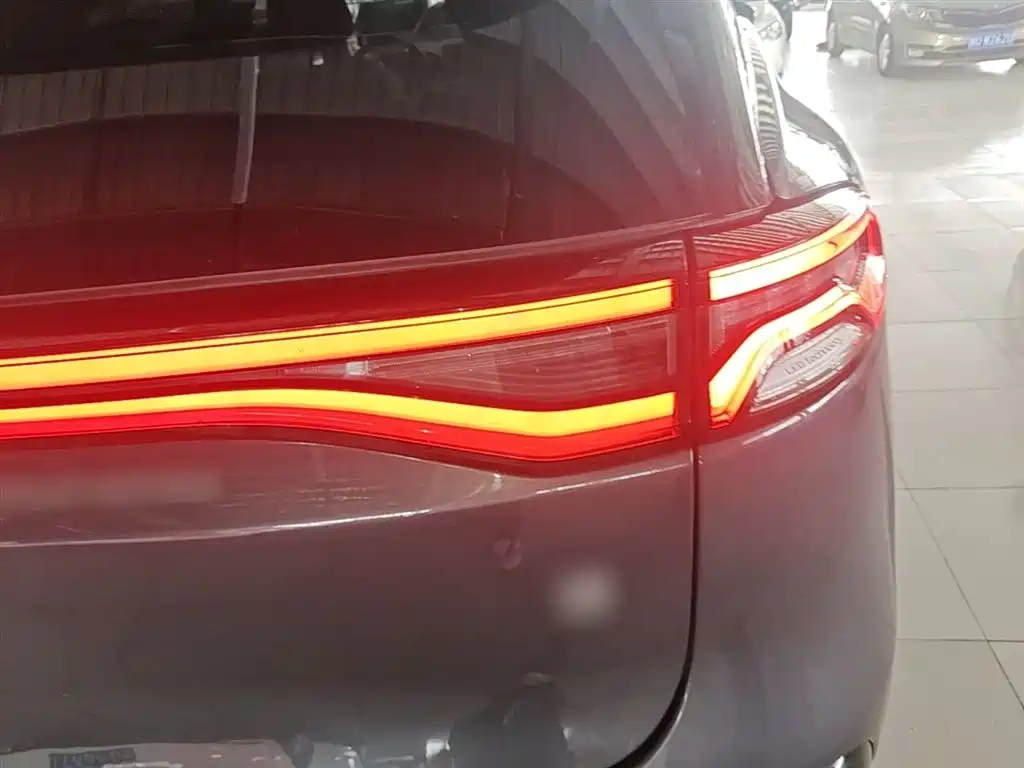 BYD Tang New Energy 2021 DM 2.0T 4WD Performance Premium фото 8