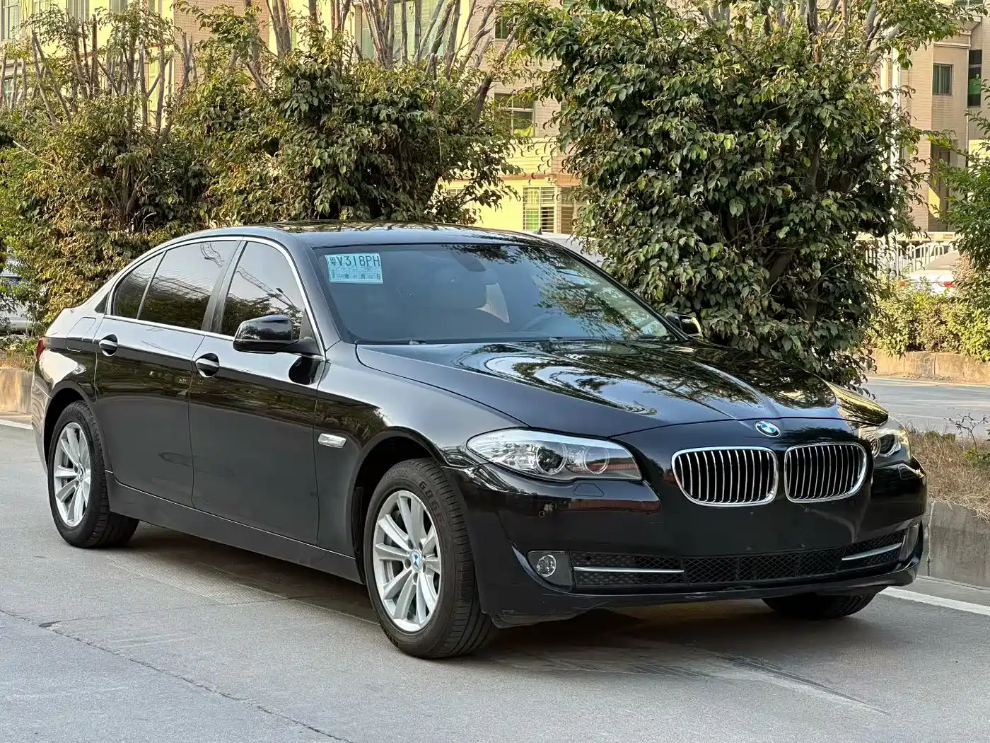 BMW 5 Series 2013 525Li Luxury фото 3