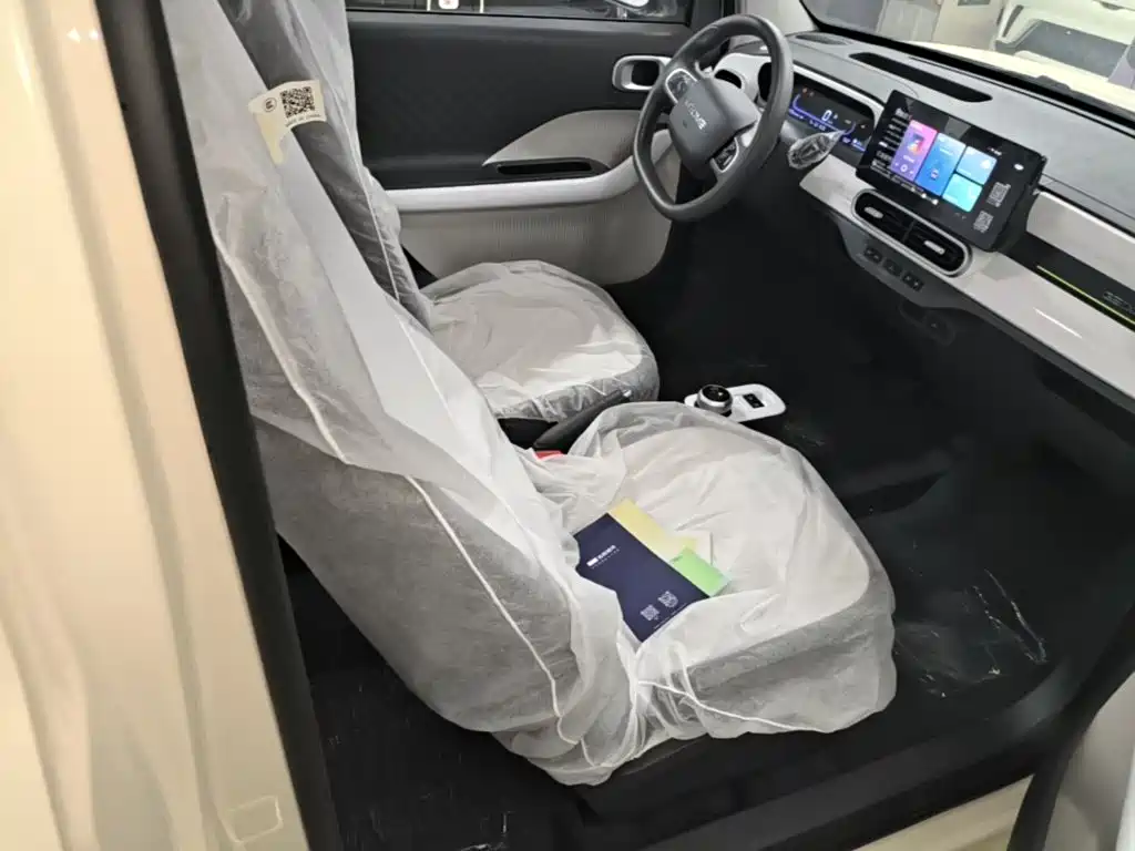 Geely Galaxy Panda 2026 2025 Panda mini 210km Vitality Bear