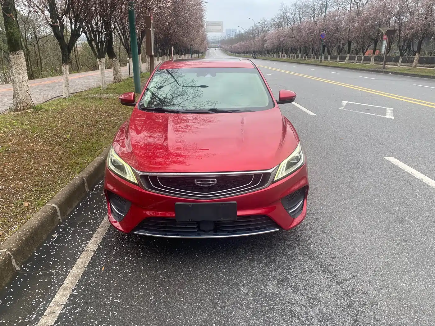 Фото 2 - Geely Binrui