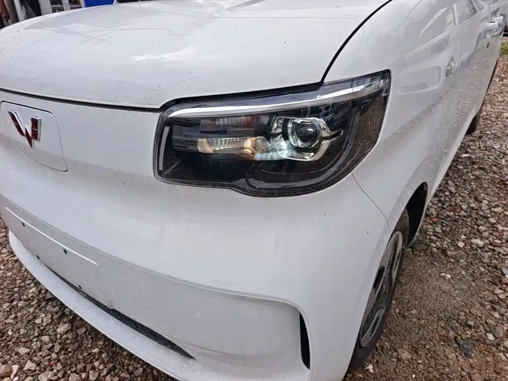 Wuling Motors Wuling Zhiguang NEV 2026 2025 Model 305km Base Version