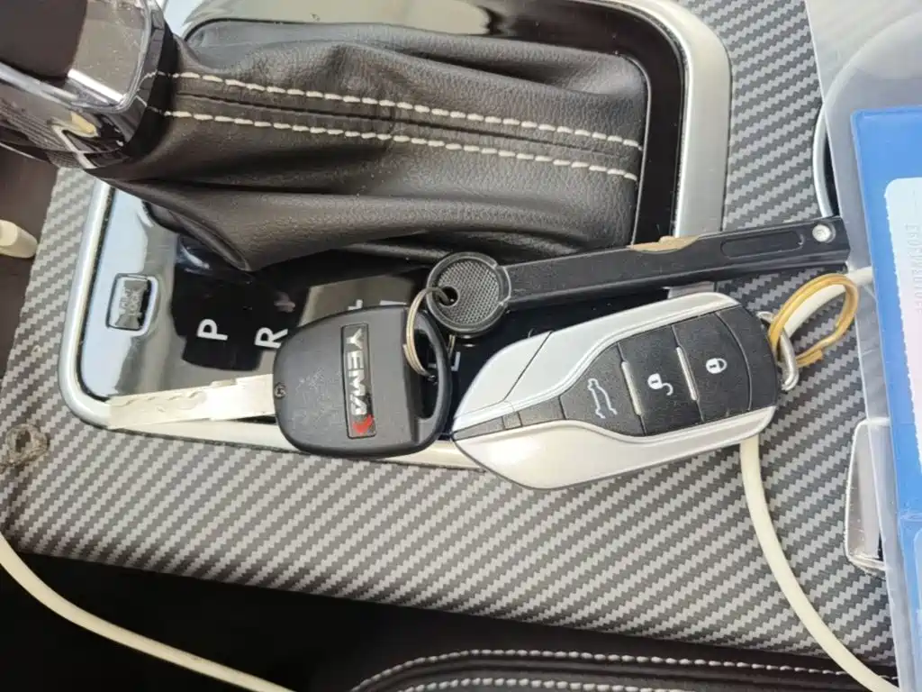 Yema Auto Bojun 2020 2019 Performance Edition 1.5T CVT LingDong Type