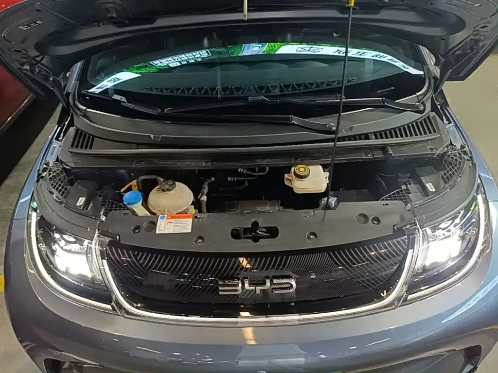 BYD Dolphin 2024 Glory Edition 420km Fashion Edition фото 20