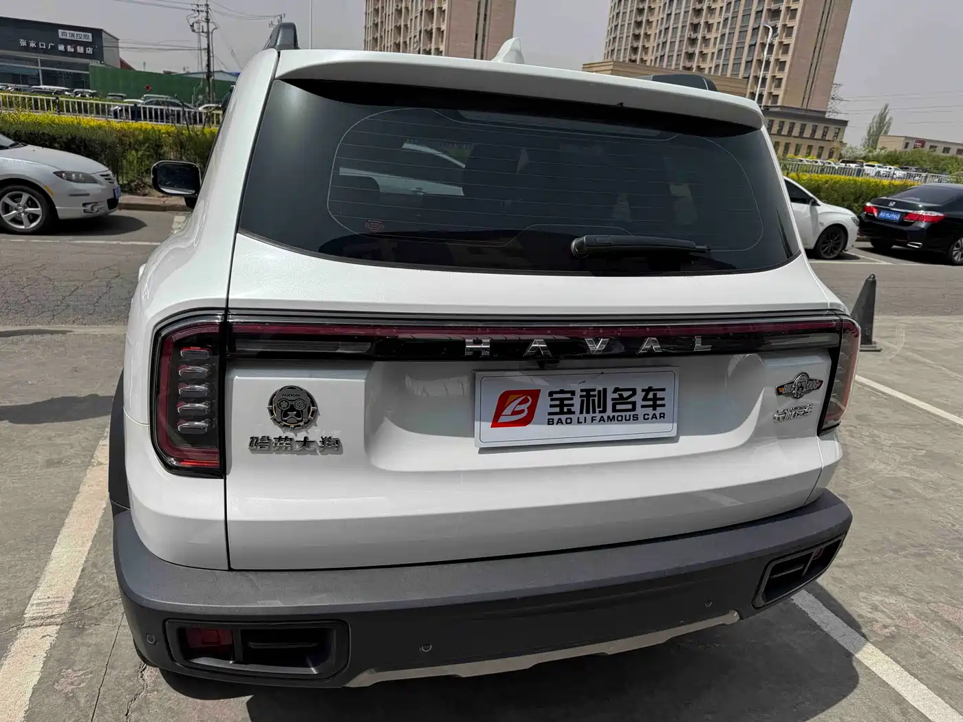 Haval Big Dog 2024 1.5T DCT Border Collie Edition фото 8