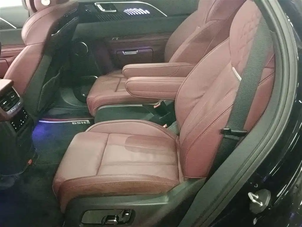 Hongqi E-HS9 2021 510km Flagship Comfort 6-seater фото 17