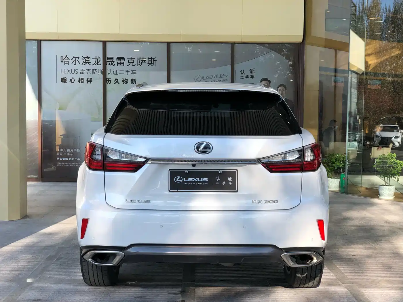 LEXUS RX