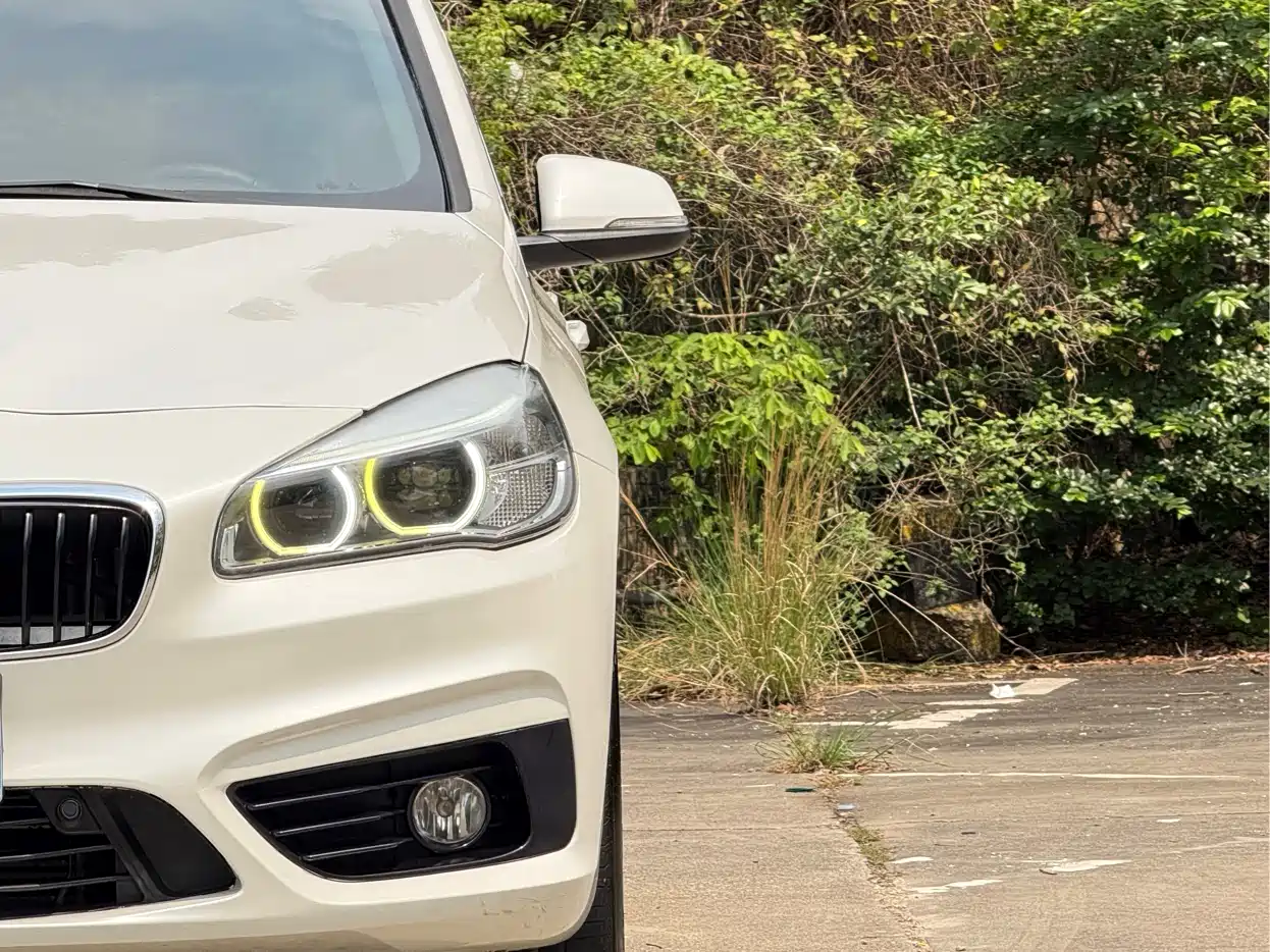 BMW 2 Series Gran Tourer 2015 218i Leading фото 13
