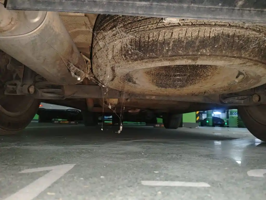 Dongfeng Fengguang Fengguang 580 2020 2020 1.8L Manual Comfort