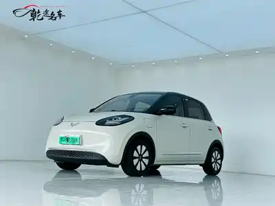 Wuling Bingo