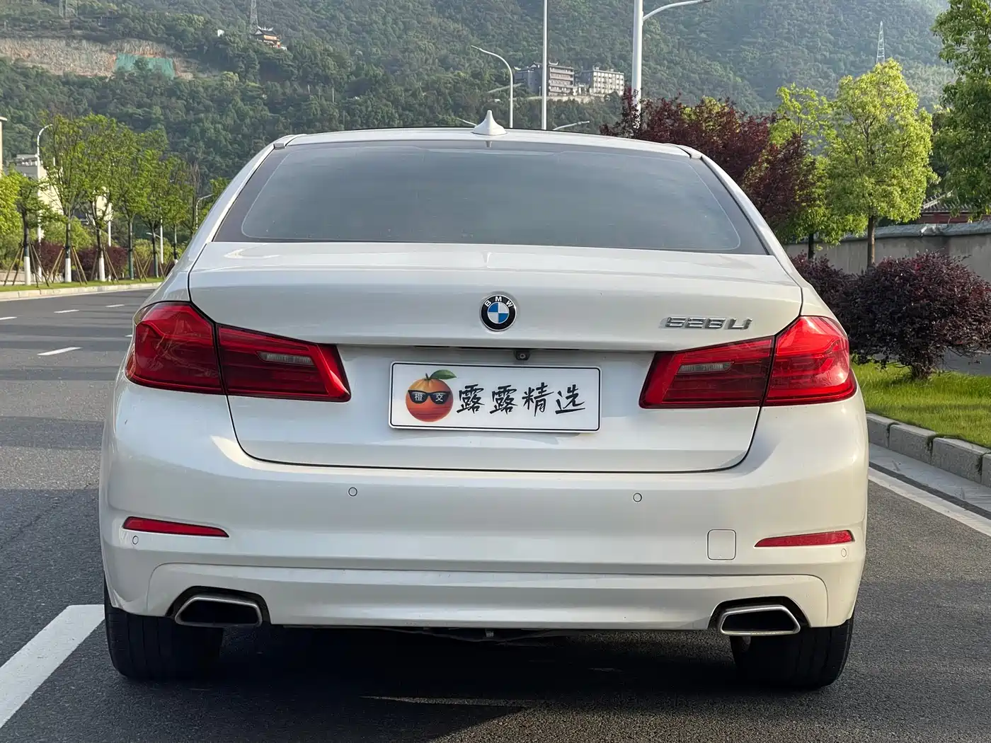 BMW 5 Series 2018 528Li Launch Special Edition фото 12