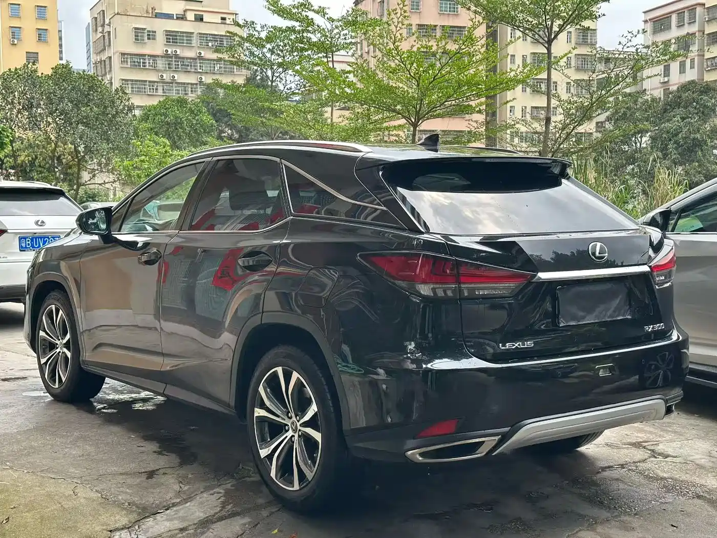 Lexus RX 2020 300 4WD Elegance Edition China VI фото 9