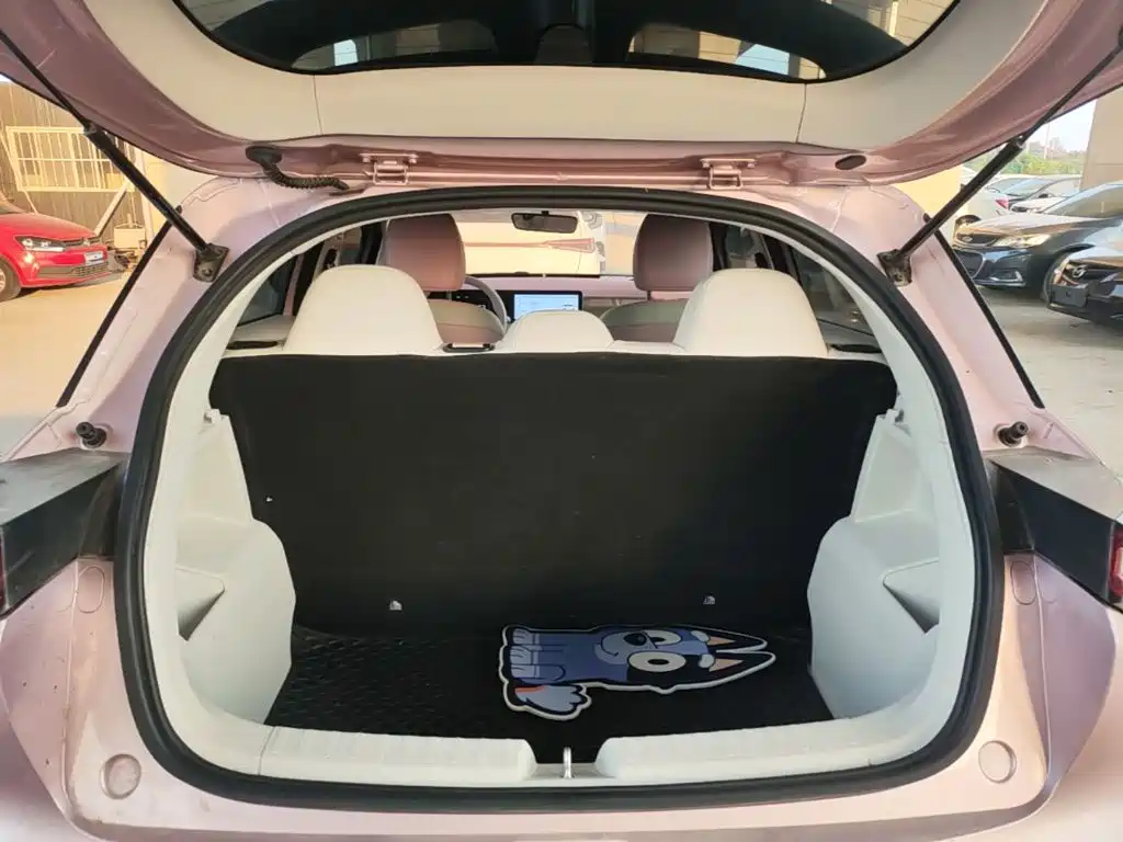Geely Geometry E Firefly 2024 2024 Model 301km Starlight