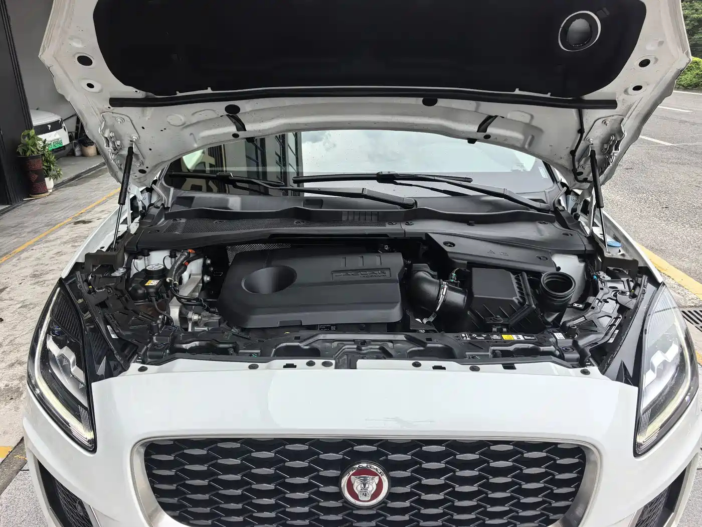Jaguar E-PACE 2024 2024 Youth Sport Edition R-DYNAMIC