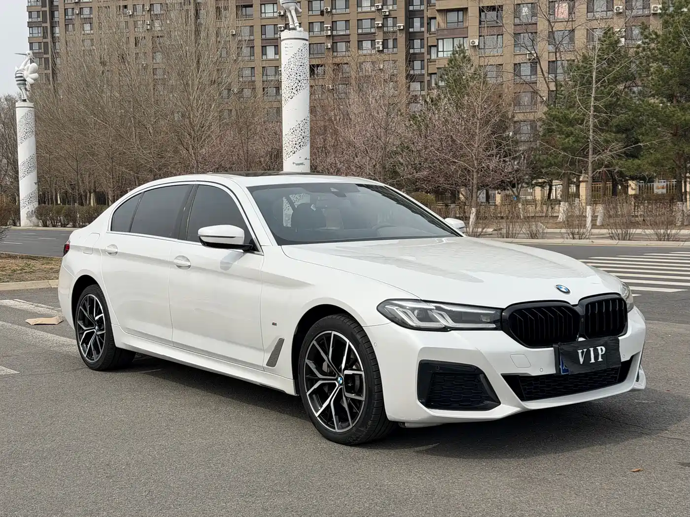 BMW 5 Series 2021 530Li Premium M Sport Package фото 3