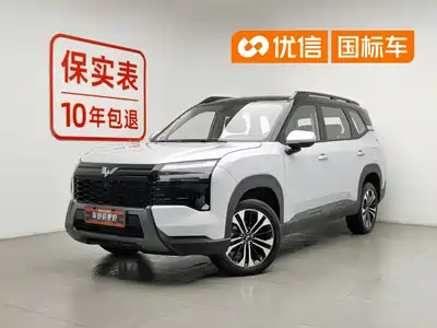 Wuling Starlight 560