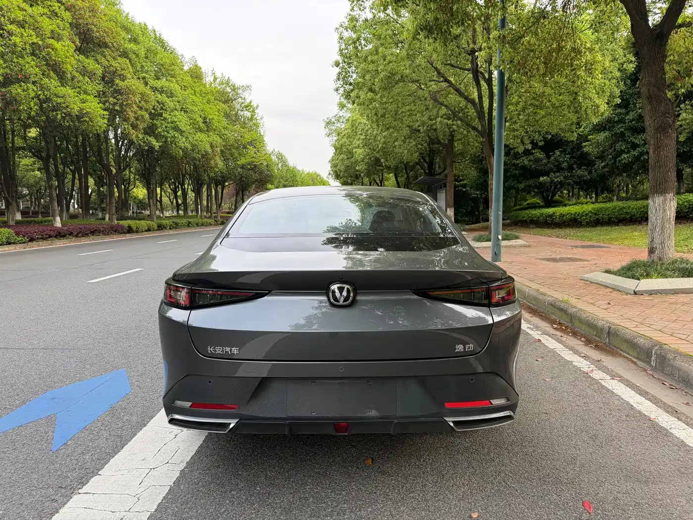 Photo 11 - Changan Eado