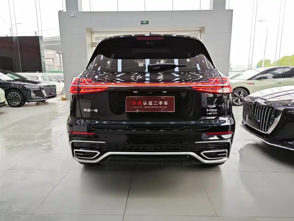 Hongqi HS5 2023 2.0T Flag Leader Pro Edition фото 30