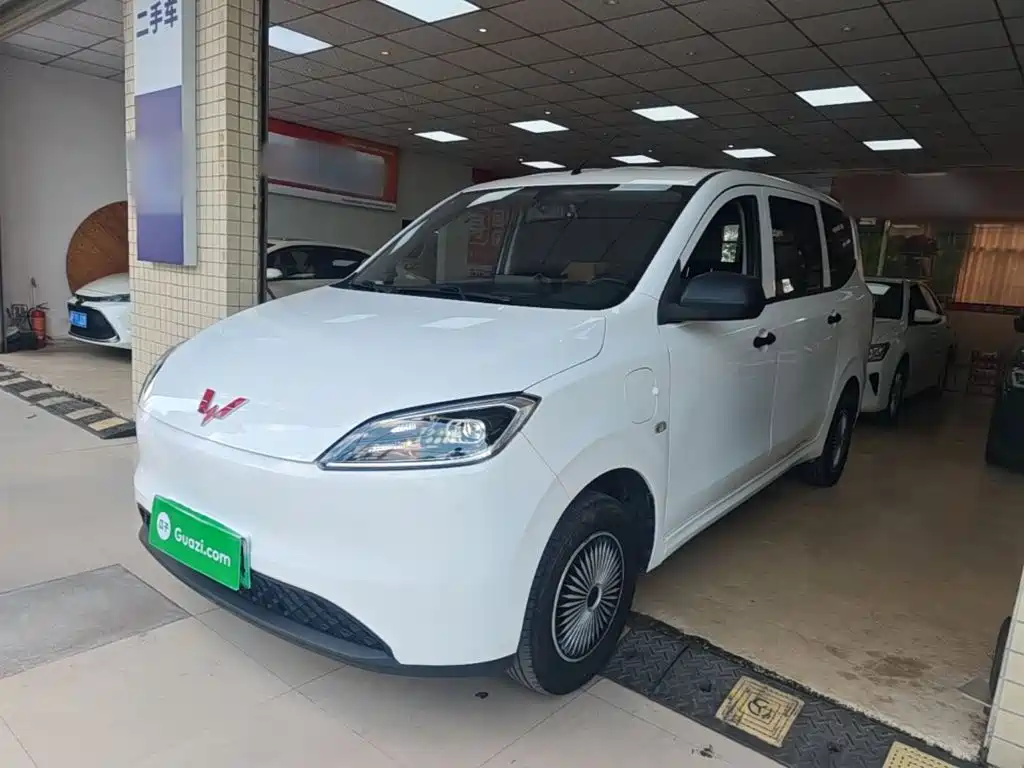 Wuling Motors Wuling Hongguang New Energy 2024 2024 Pure Electric 300KM Standard
