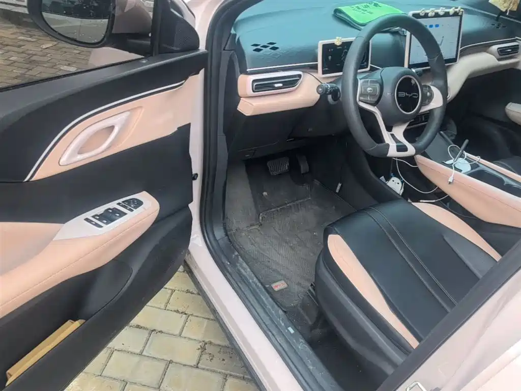 BYD Seagull 2023 Vitality Edition фото 16