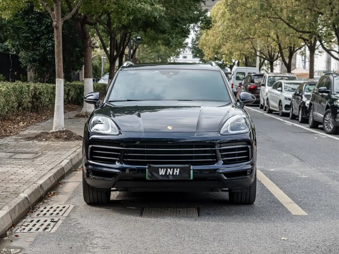 PORSCHE CAYENNE NEW ENERGY