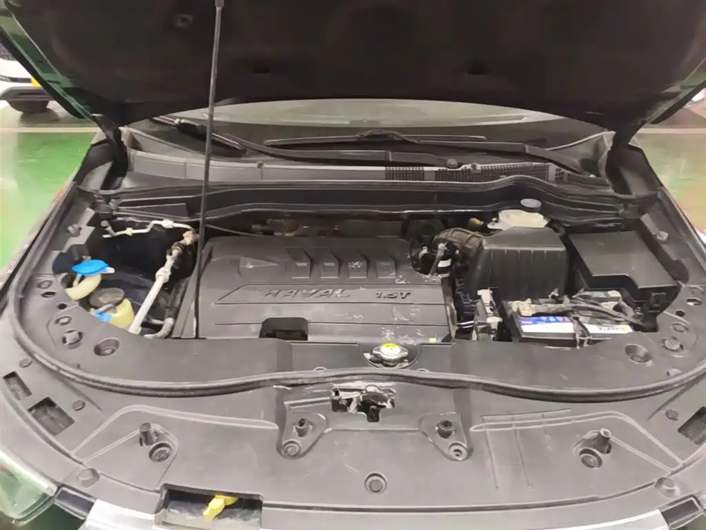 Haval H6 2018 Blue Label Sport 1.5T Automatic 2WD Elite фото 20