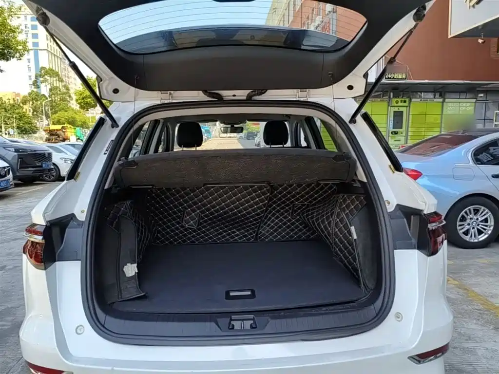 BYD Song Pro New Energy 2019 DM 1.5T 4WD Performance Luxury фото 19