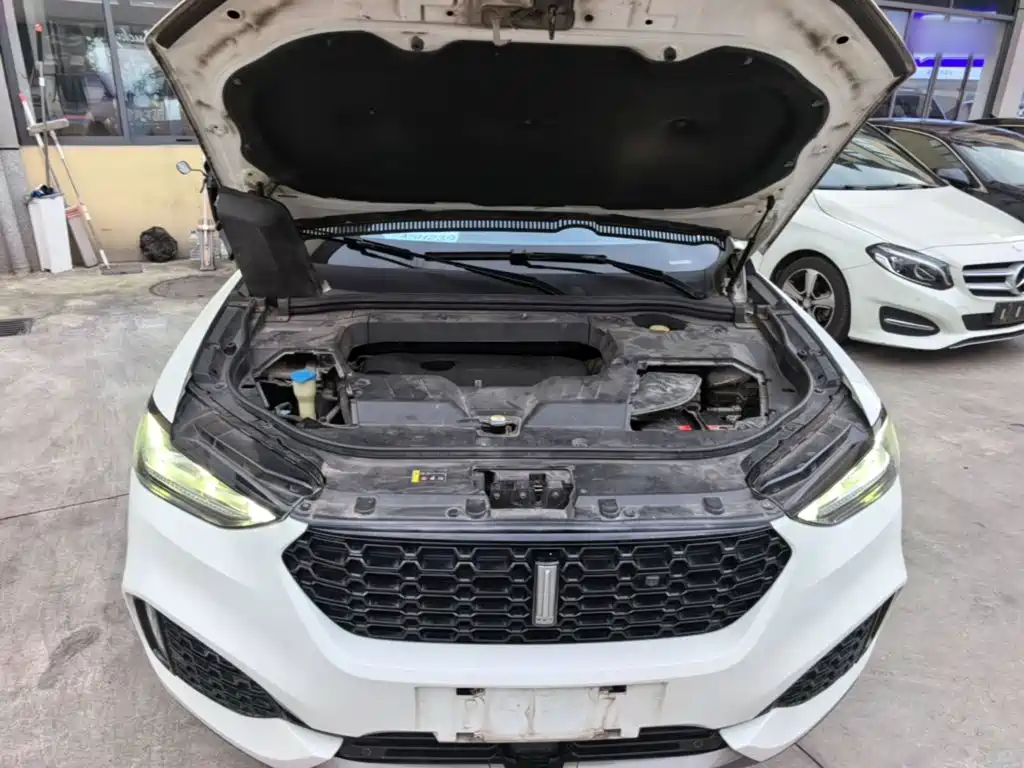 WEY VV6 2018 2018 2.0T 2WD Super Luxury China V