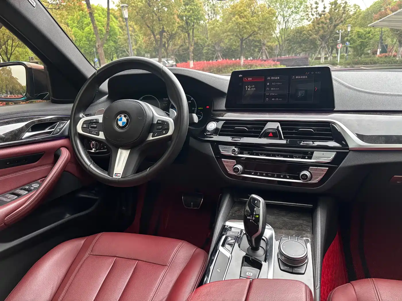 BMW 5 Series 2019 530Li Leading M Sport Package фото 9