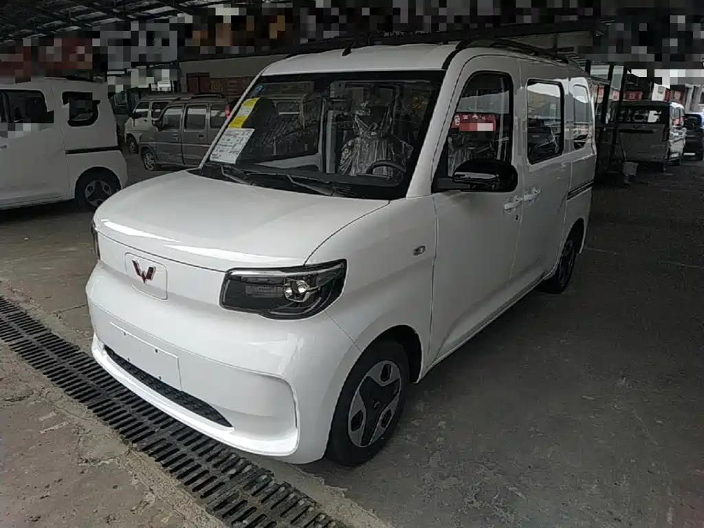 Wuling Motors Wuling Zhiguang NEV 2026 2025 Model 305km Base Version