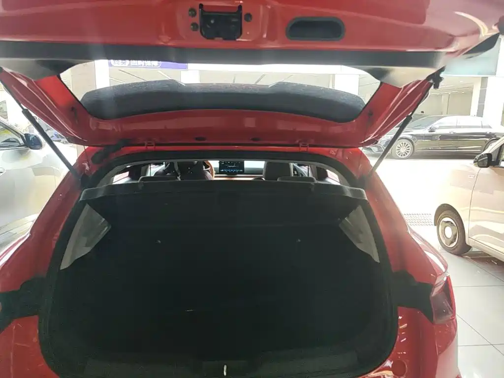 BYD e2 2020 2020 Upgraded Long Range Luxury