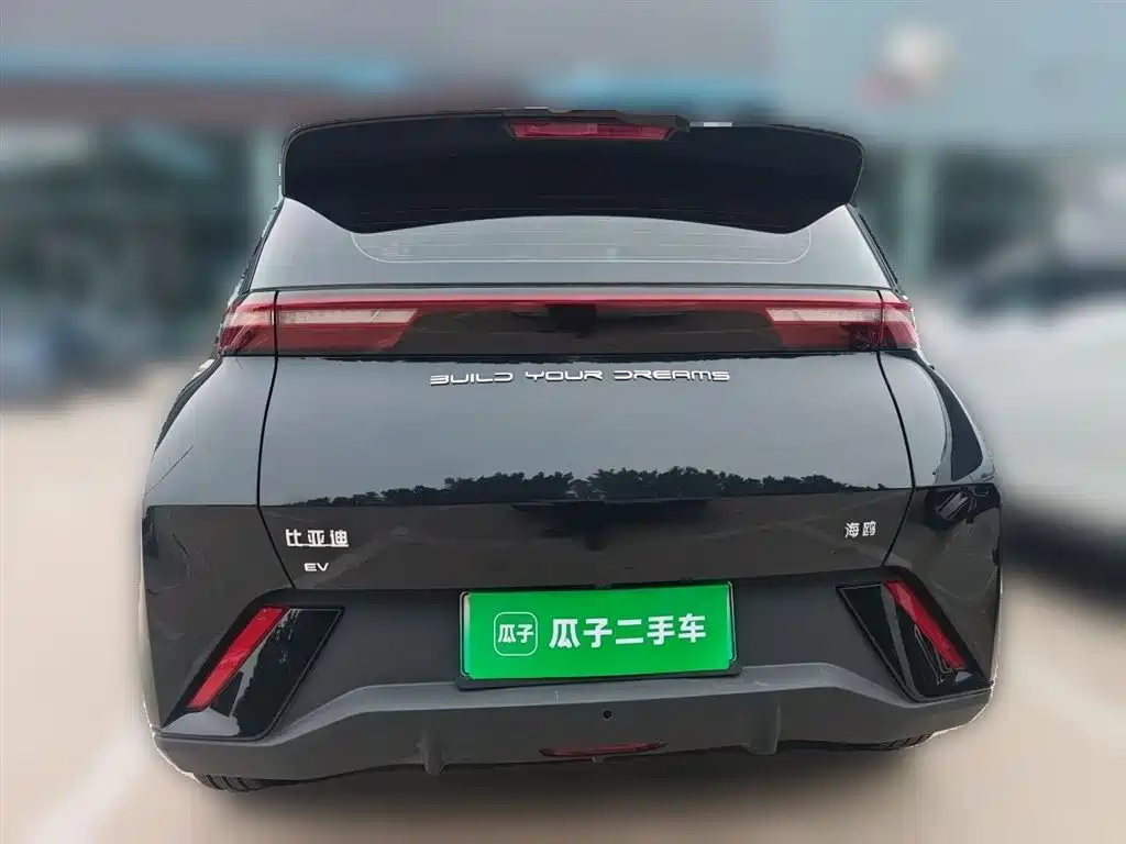 BYD Seagull 2024 Glory Edition 305km Vitality Edition фото 4