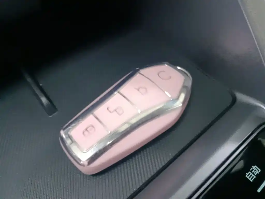 BYD Song PLUS PHEV 2023 Champion Edition DM-i 110KM Flagship PLUS фото 9